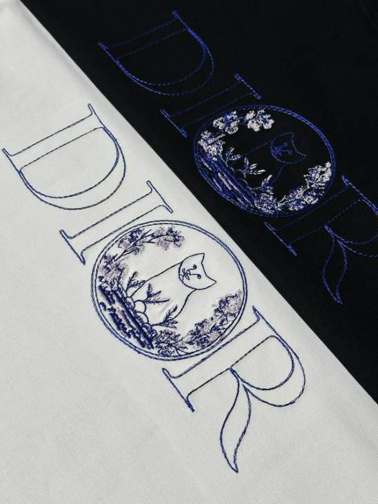 Dior T Shirts Short _SKUDiorS-XLhgntx1215769